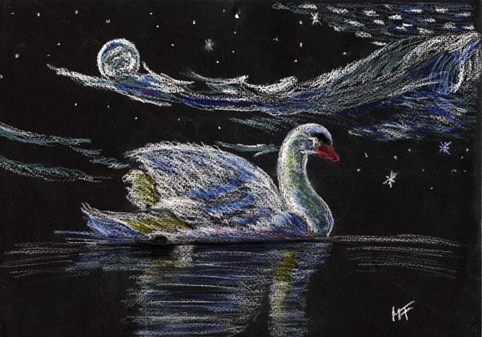 cigno cigno