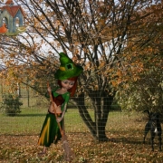 L'elfo pellegrino che spazza