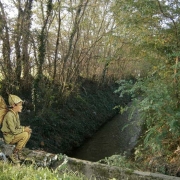 L'elfo accovacciato sul ponte