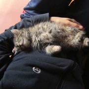 in braccio a Chiara