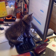 Brio al pc