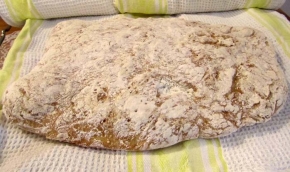 Ciabatta senza glutine