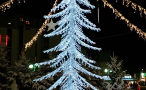 L'albero scintillante
