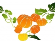 Disegno con le zucche