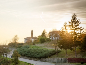 Il sole dietro gli alberi