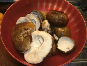 Cappelle dei funghi