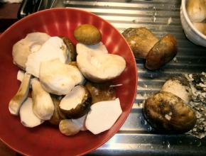 Pulitura dei funghi