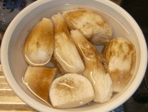 Spurgatura dei funghi