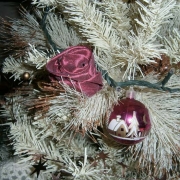 Rosa con stoffa delle tende