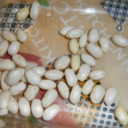 fagioli pelati