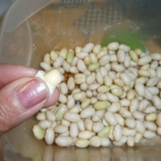sbucciare i fagioli
