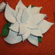 Comporre la stella