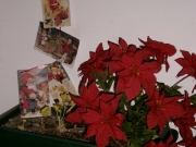 Cartoline vintage