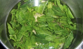 Menta in infusione