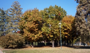 Giardino Cavallotti