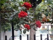 Mmm, che bello quassù!