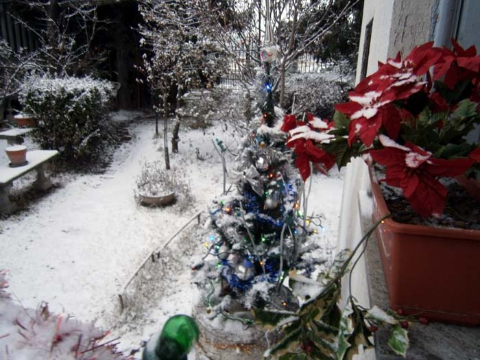 Albero di Natale in giardino