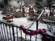 Dal balcone di casa