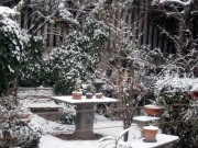 Neve in giardino
