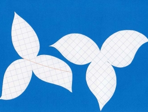 Petali grandi